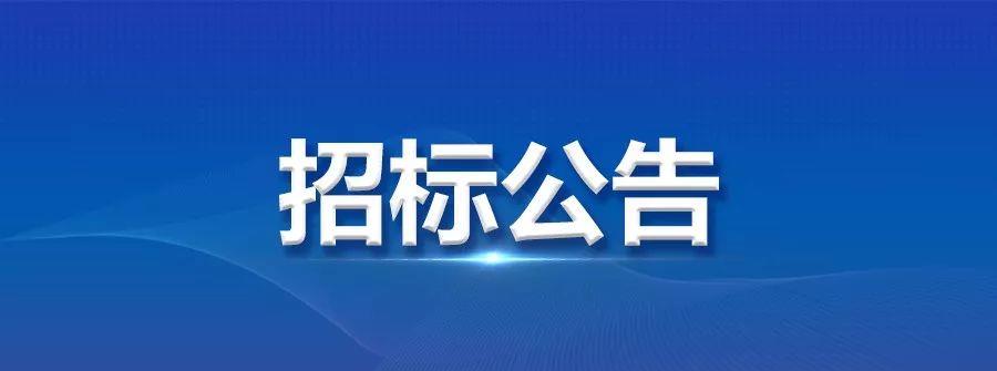 龍電華鑫集團(tuán)DIP 插件自動(dòng)化生產(chǎn)線項(xiàng)目投標(biāo)公告